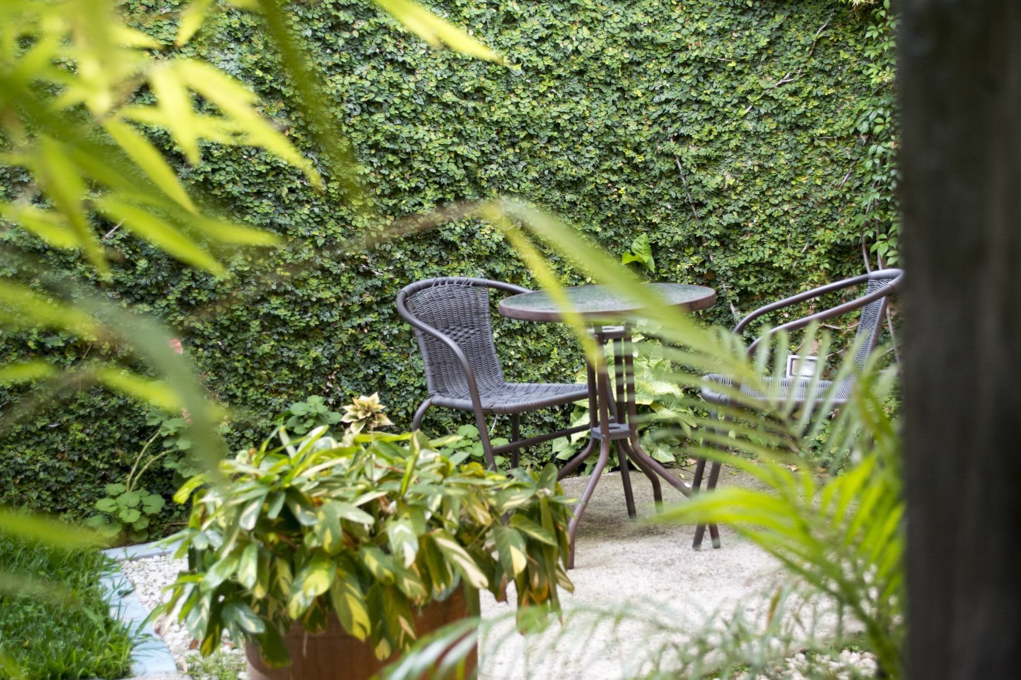 Casa Bella Boutique Hotel Antigua Exteriör bild